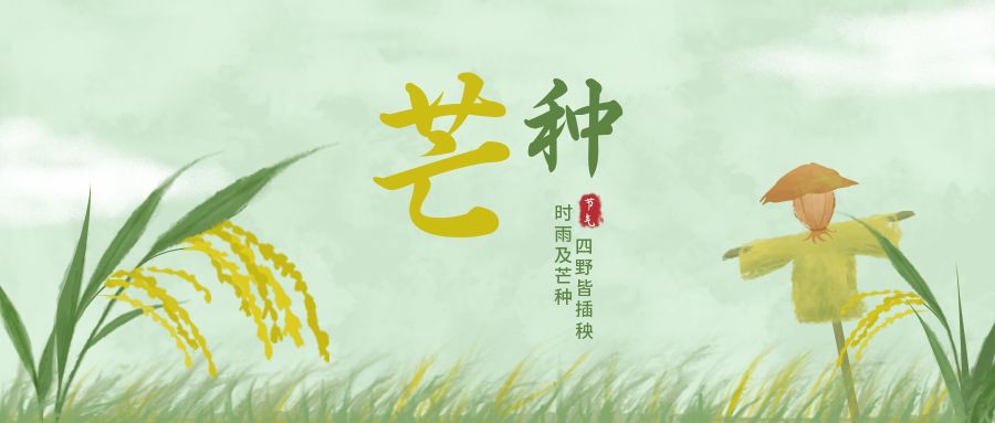 此作品id为:11592,主要用于封面首图方面,结合了中国风,手绘,芒种,二