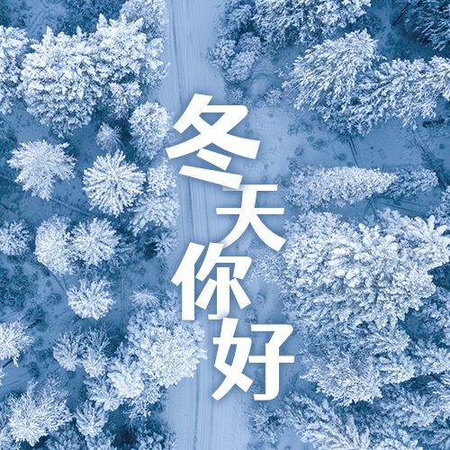 森林雪景实景冬天你好问候语正能量照片公众号次图