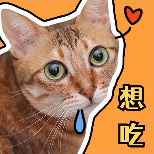 萌宠可爱猫咪好吃表情包趣味公众号次图