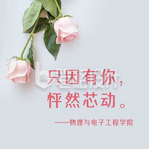 女生节高校学院表白玫瑰花实景公众号次图