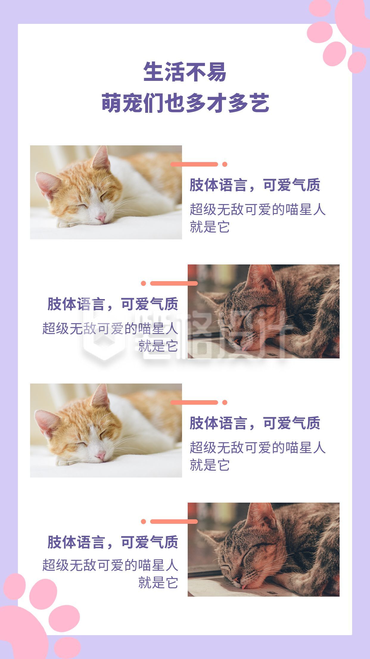 可爱猫咪治愈萌宠简约多图竖版配图