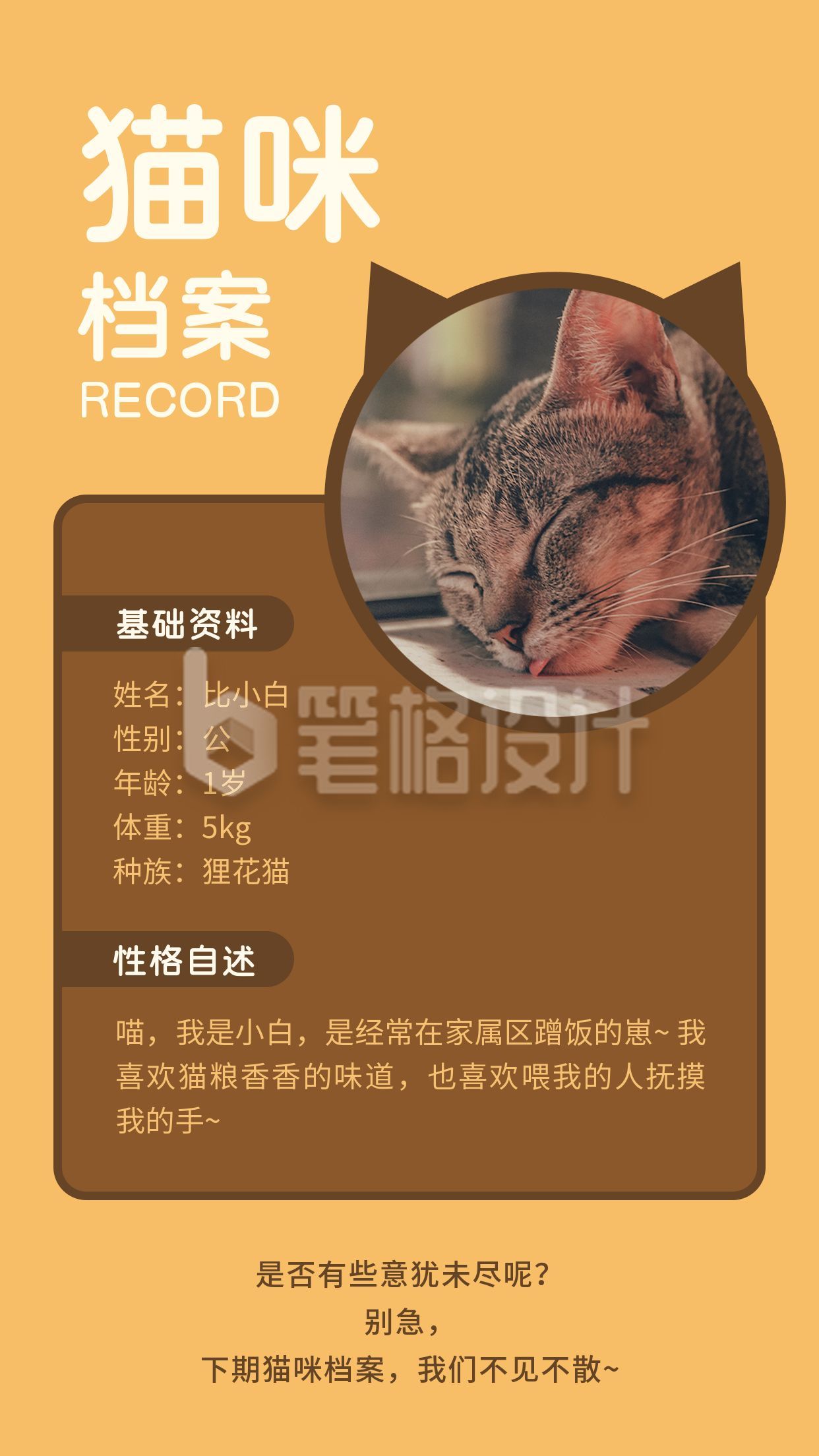 猫咪卡通头像档案可爱萌宠竖版配图