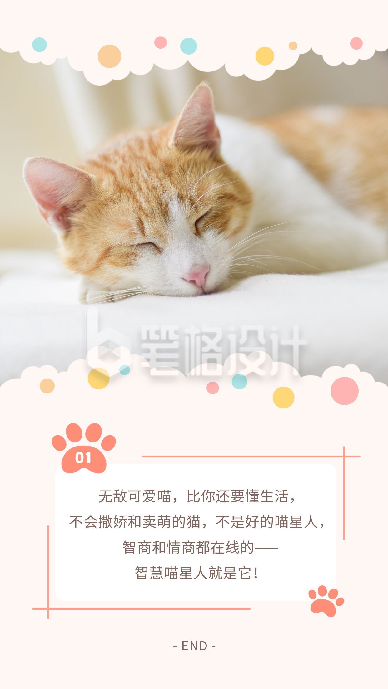 萌宠时光治愈可爱猫咪创意竖版配图