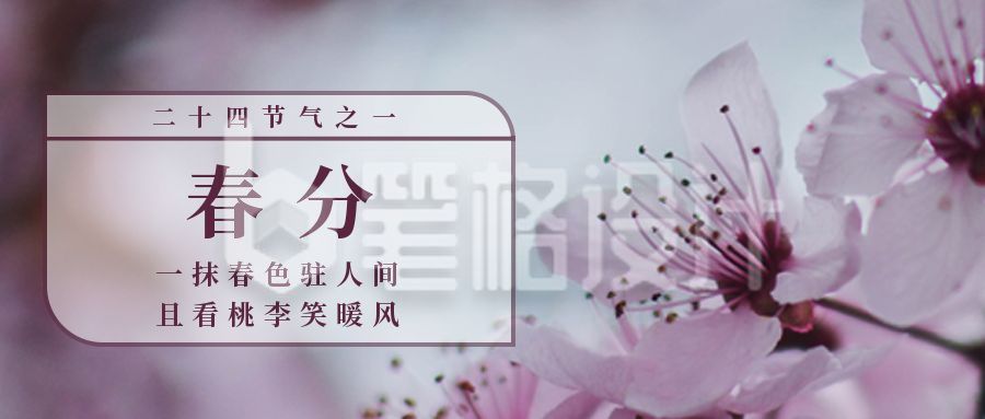 实景春日桃花春分节气公众号首图