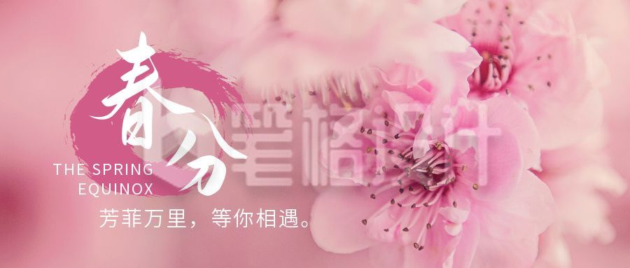 春分节气春暖花开樱花实景公众号首图