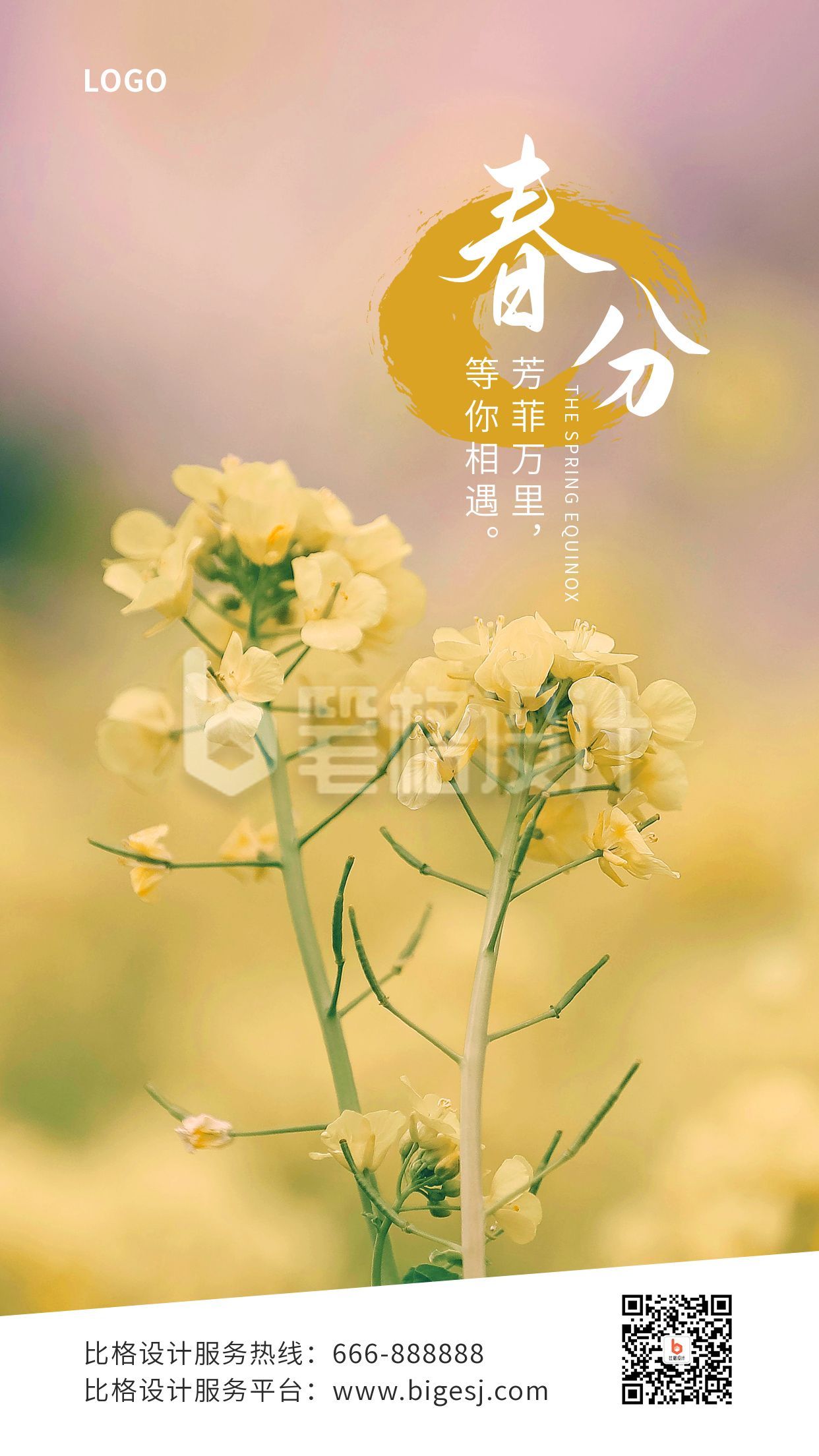 春分节气春暖花开油菜花实景手机海报