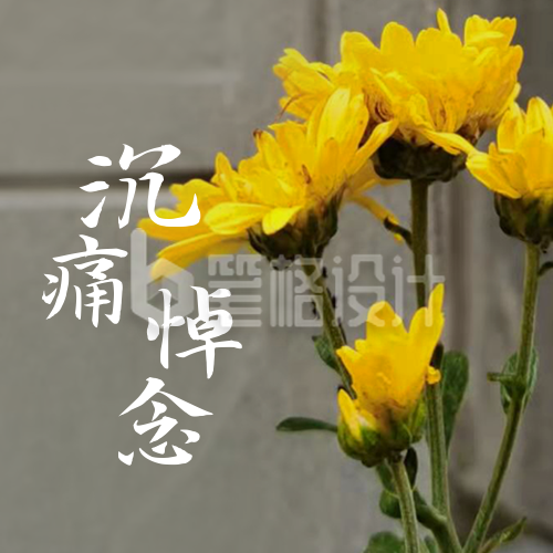 清明追思鲜花祭故人实景公众号次图