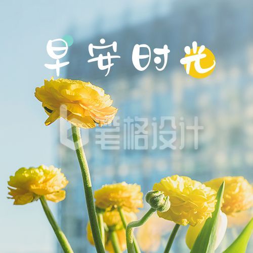 早安问候实景花束清新文艺公众号次图