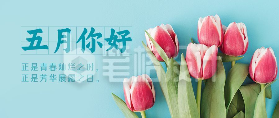 5月你好清新简约郁金香实景公众号首图