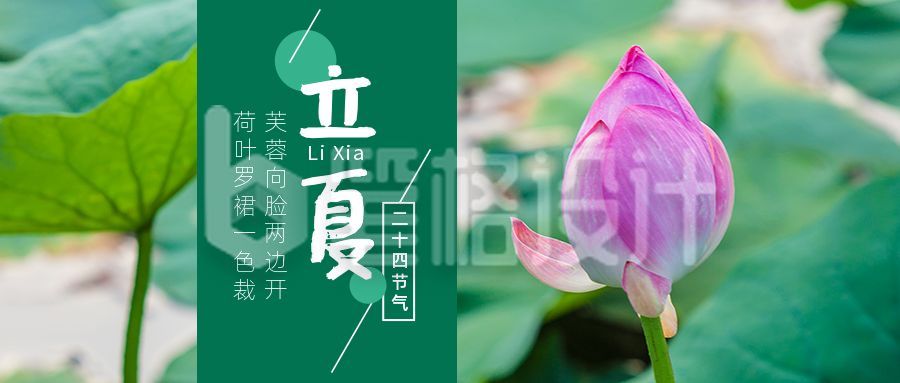 立夏节气祝福问候夏天荷花实景公众号首图