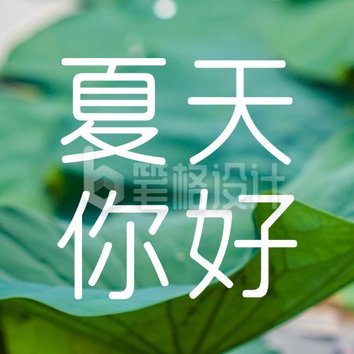 夏天你好问候祝福清新实景荷叶公众号次图