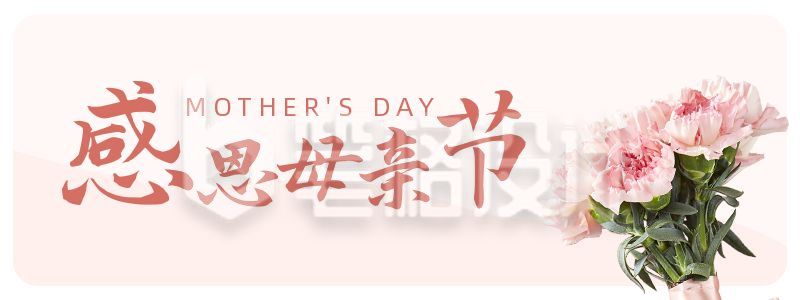 文艺清新母亲节活动胶囊banner