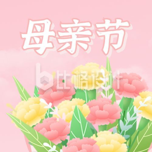 清新母亲节康乃馨祝福公众号封面次图