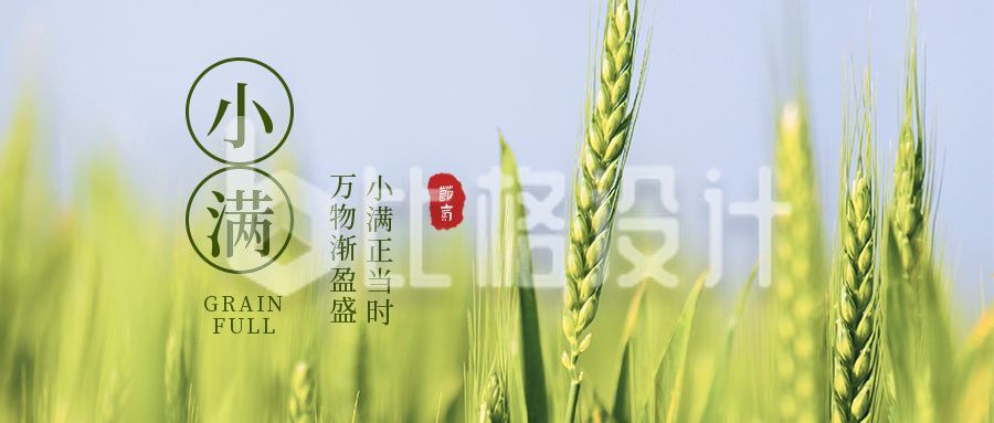 绿色简约小麦实景二十四节气小满节气祝福公众号首图