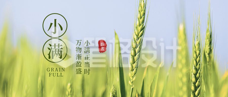 绿色简约小麦实景二十四节气小满节气祝福公众号首图