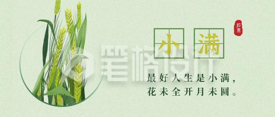 简约小满节气插画公众号首图