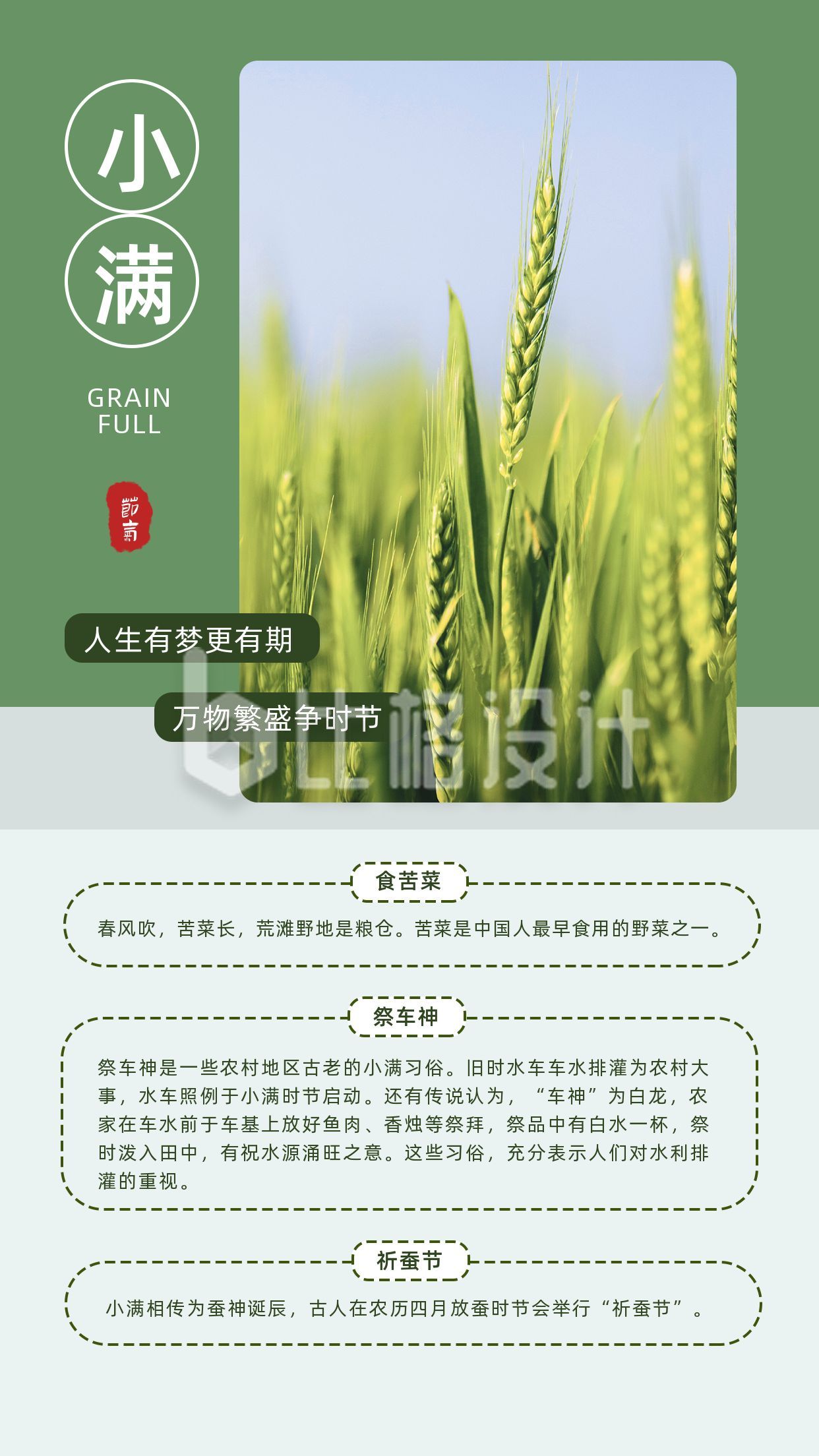 绿色小麦实景传统二十四节气小满节气祝福习俗科普竖版配图
