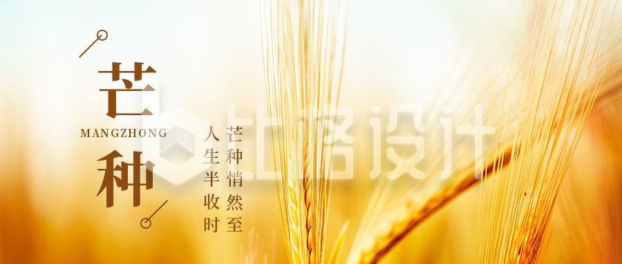 传统芒种节气问候实景黄色麦子公众号首图