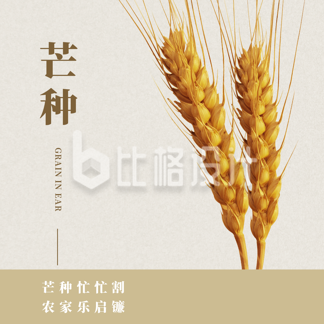 芒种节气小麦收获方形海报