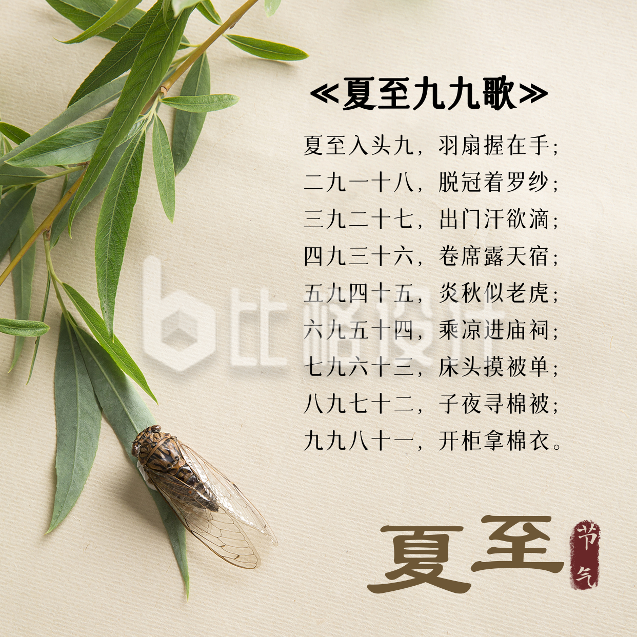 夏至节气蝉鸣杨柳中国风实景方形海报