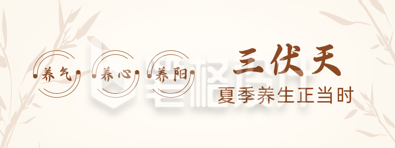 中国风传统竹子三伏天养生胶囊banner