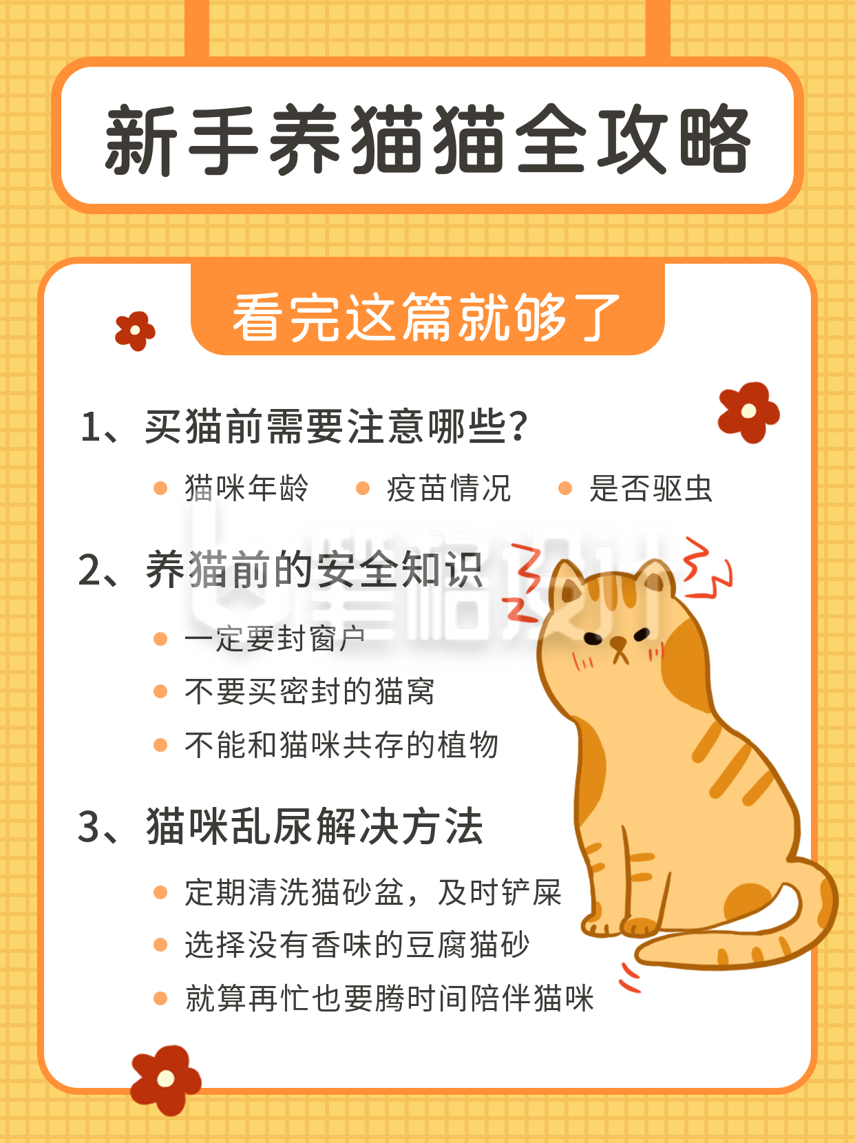 新手养猫全攻略小红书封面