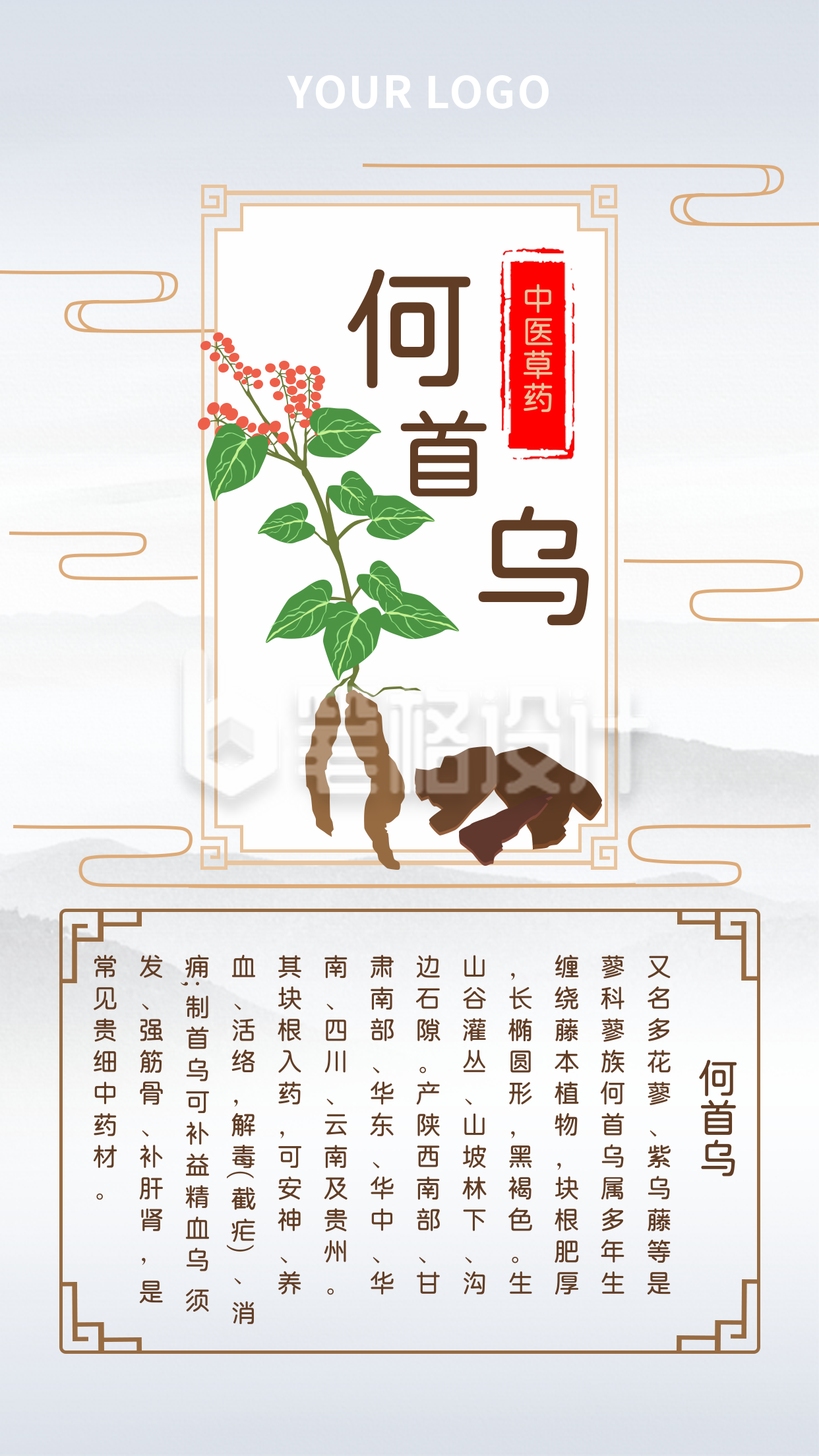 简约水墨中国风中医药草科普手机海报