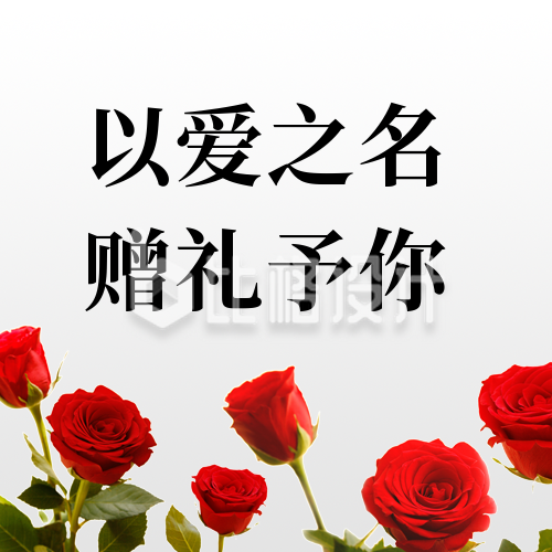 简约七夕营销红玫瑰实景公众号封面次图