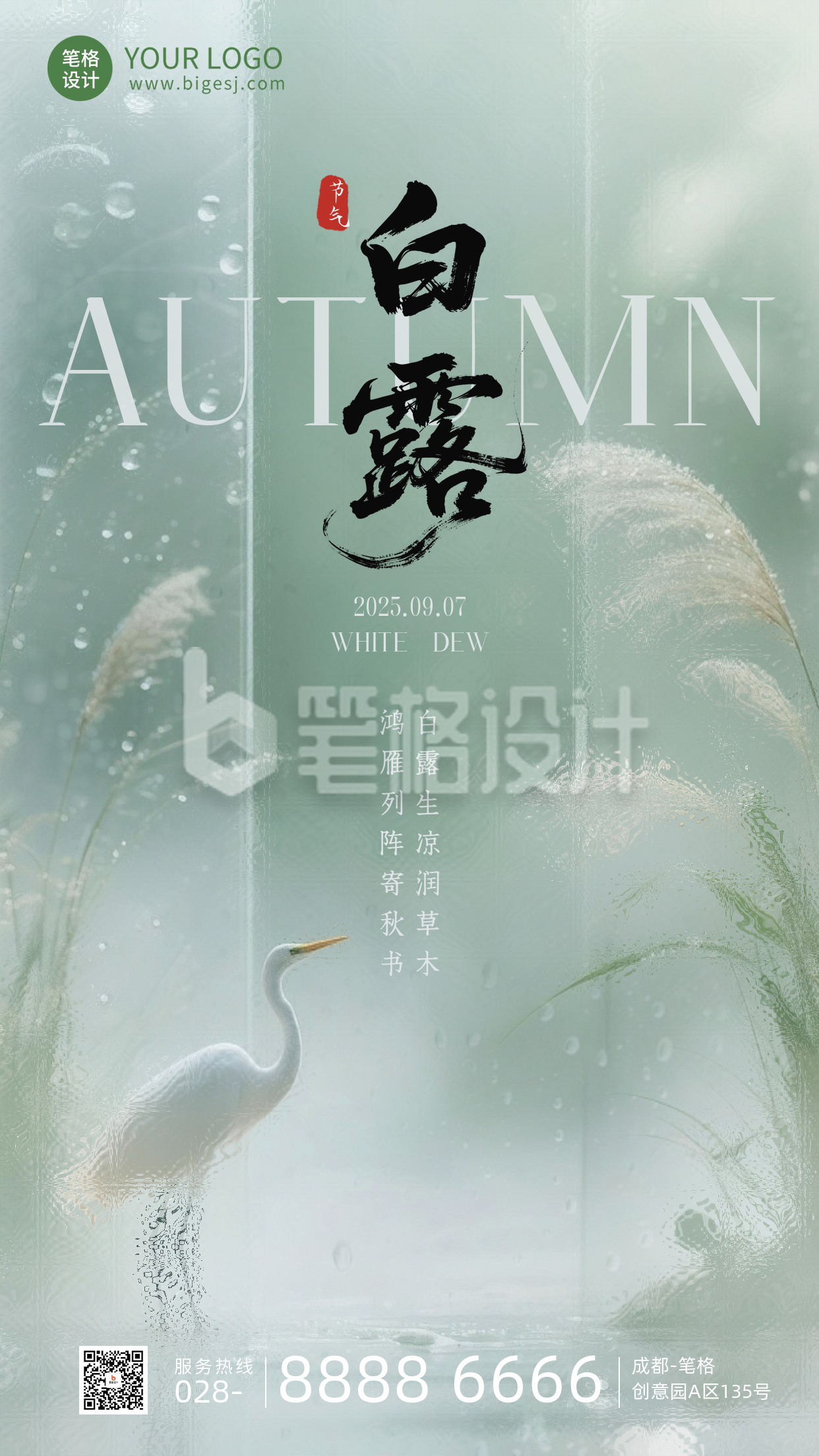 白露节气手机宣传海报