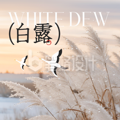 白露实景节气宣传封面次图