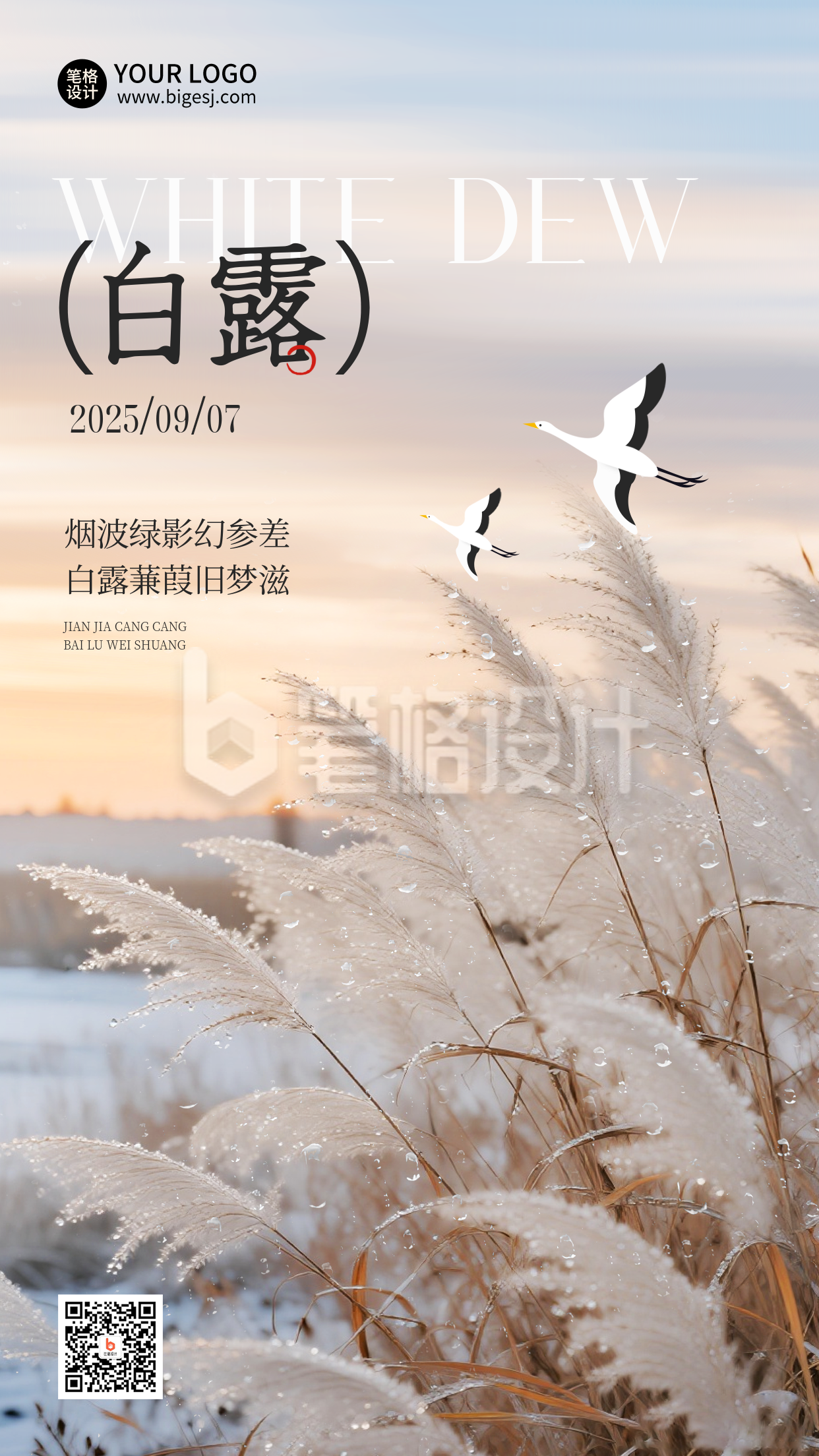 白露实景节气宣传海报