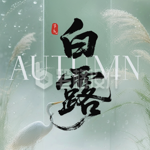 白露节气祝福公众号次图