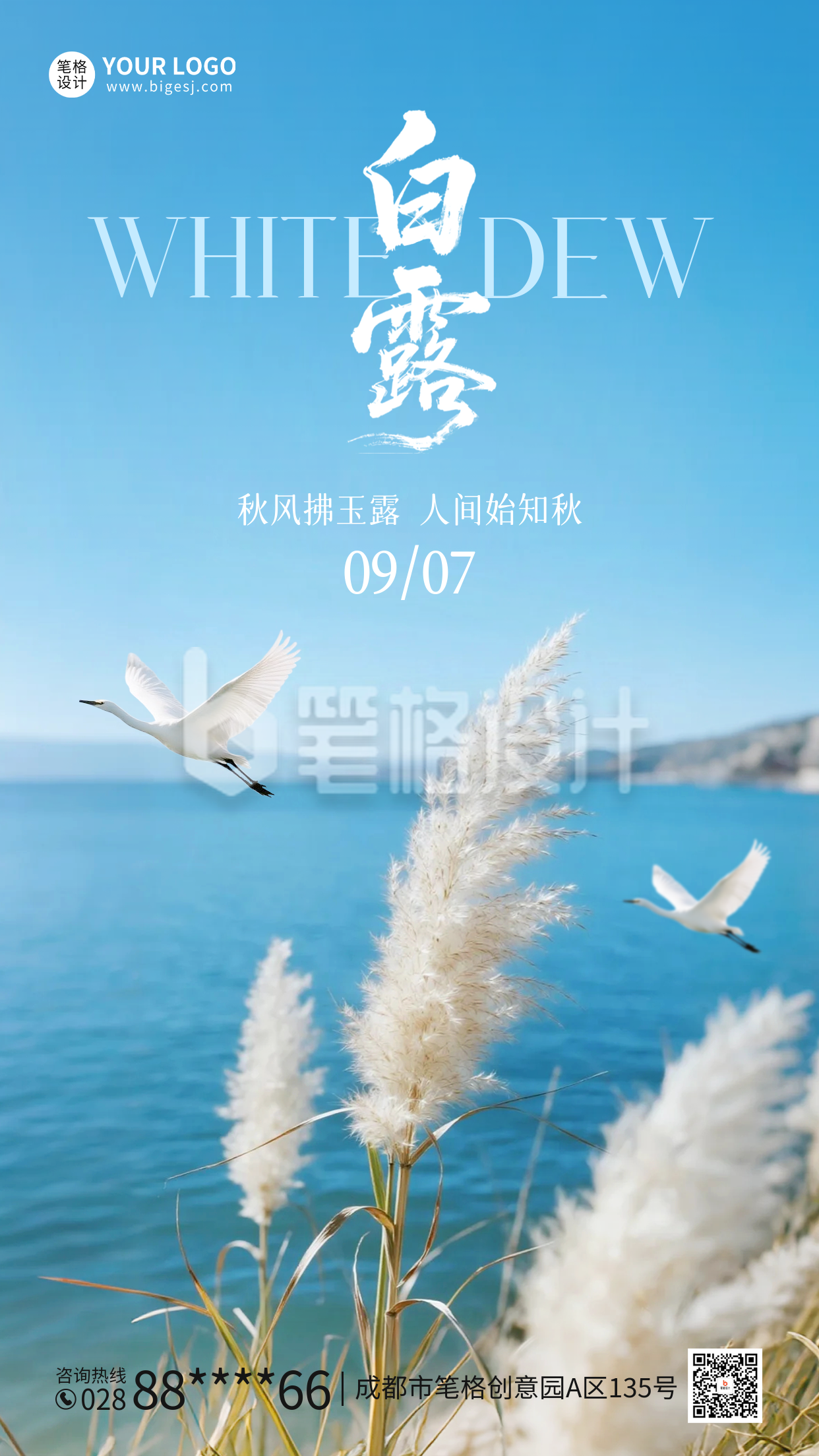 白露实景祝福海报
