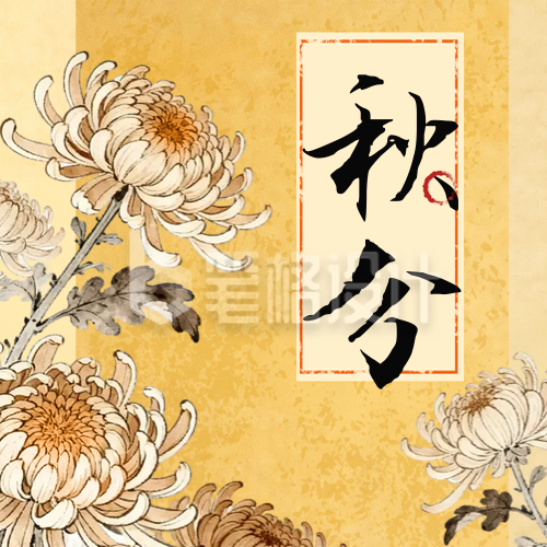 秋分节气菊花手绘封面次图