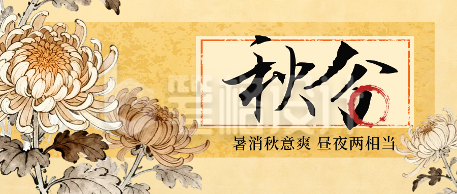 秋分节气菊花手绘封面首图