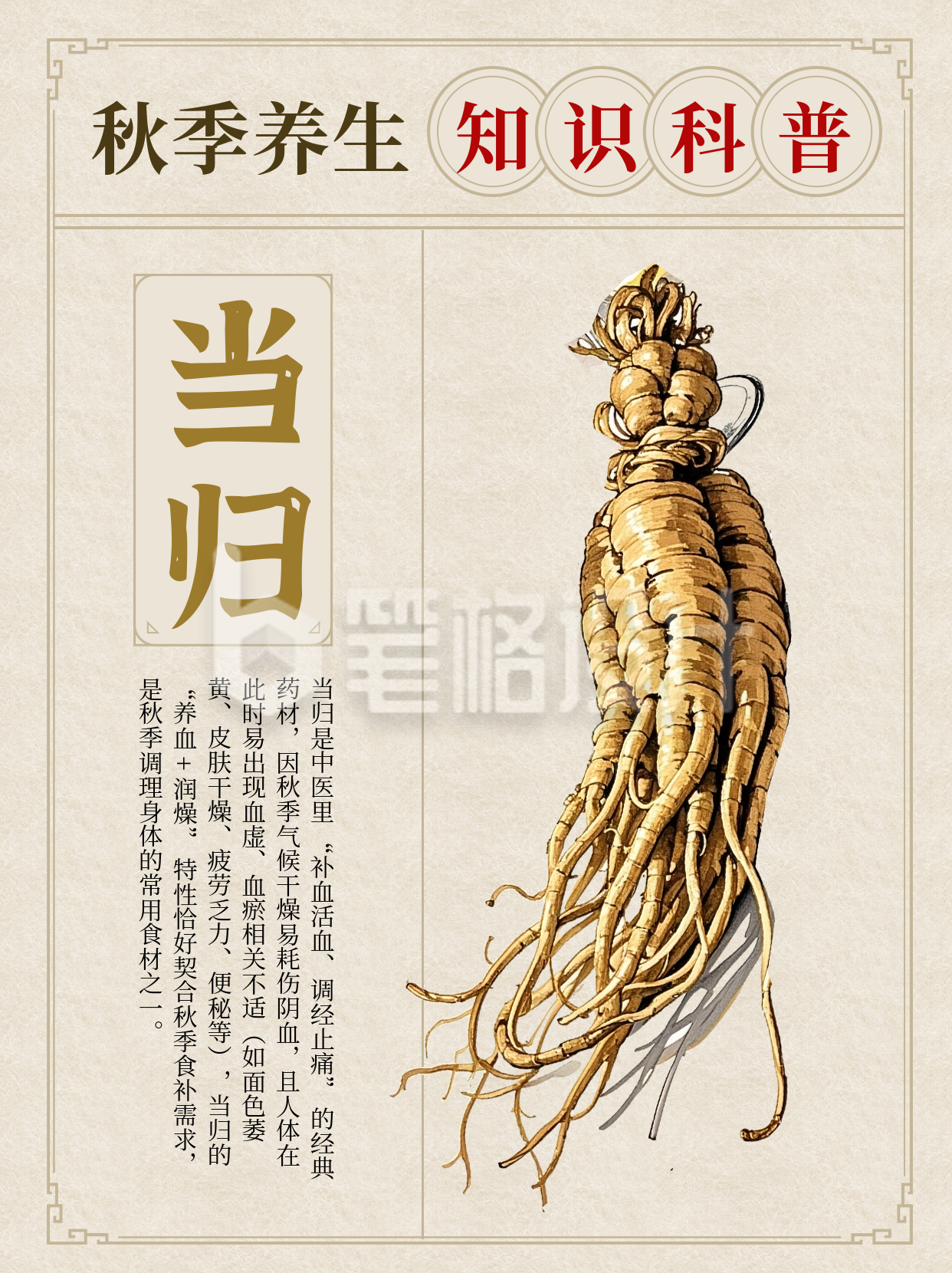 秋季养生知识科普简约古风小红书封面