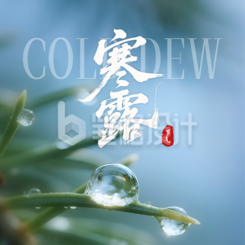 寒露节气实景封面次图