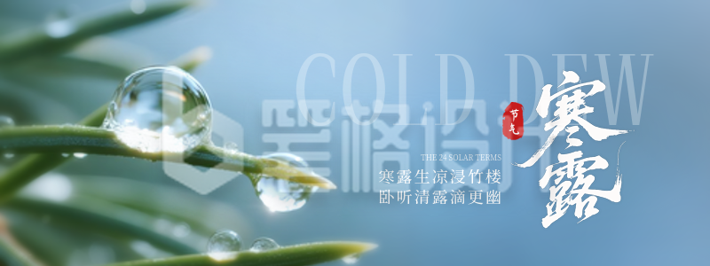 寒露节气实景宣传直播物料