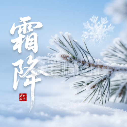 霜降实景祝福公众号次图