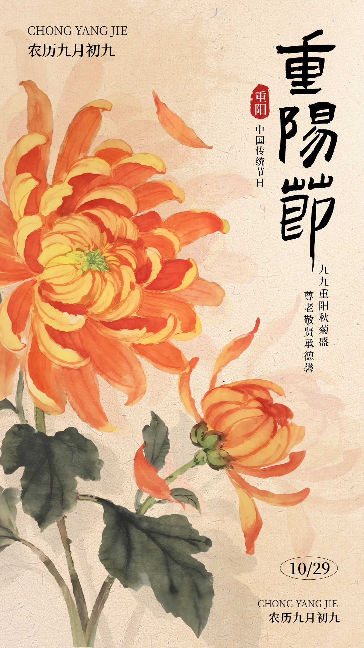 九九重阳节菊花宣传海报