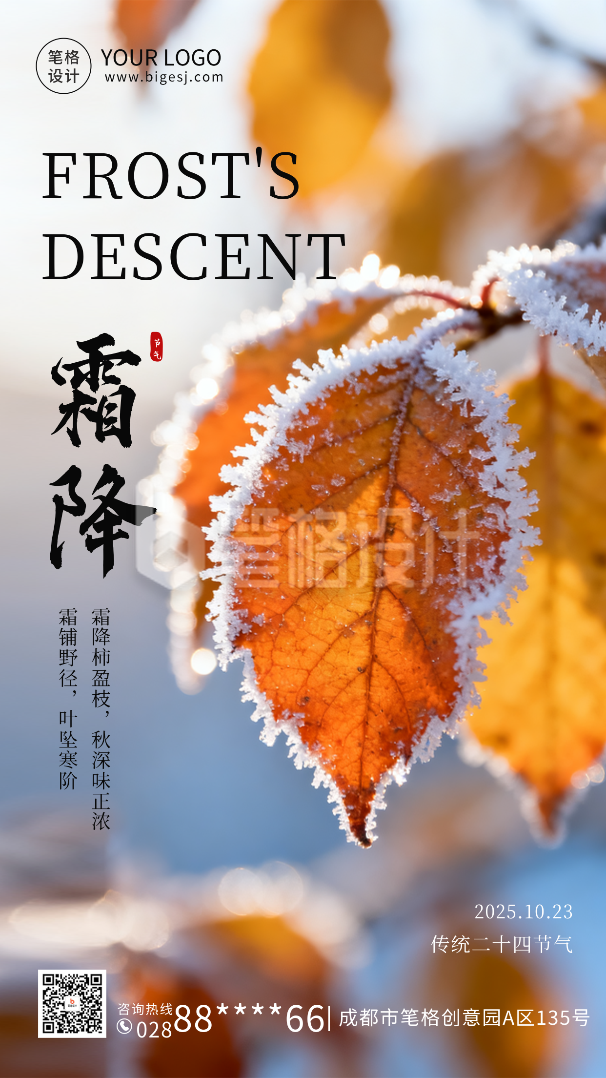 霜降节气实景树叶海报