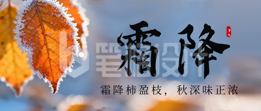 霜降节气实景树叶公众号首图