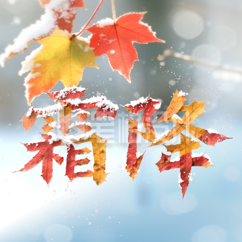 霜降节气实景封面次图