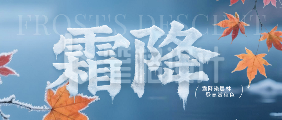 霜降节气实景宣传封面首图