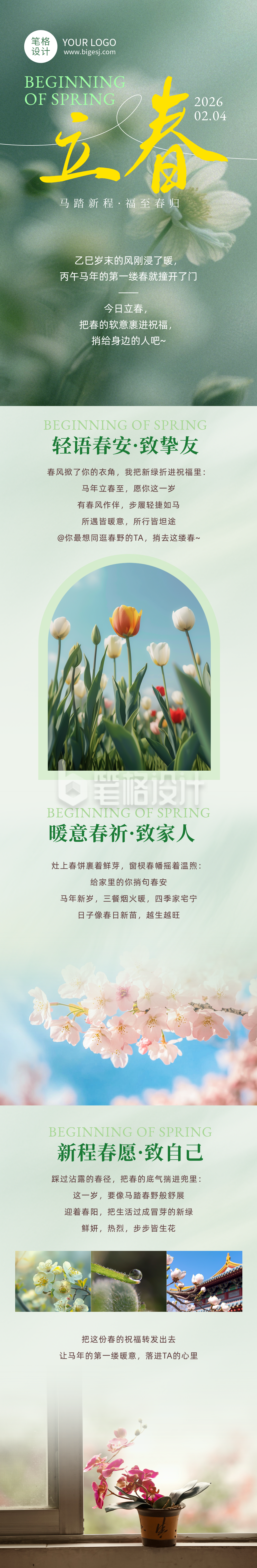 立春文案祝福绿色简约公众号长图