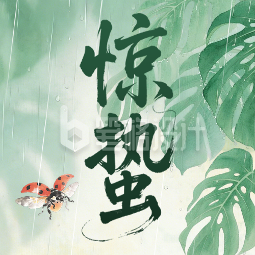 惊蛰节气植物水彩手绘宣传公众号次图