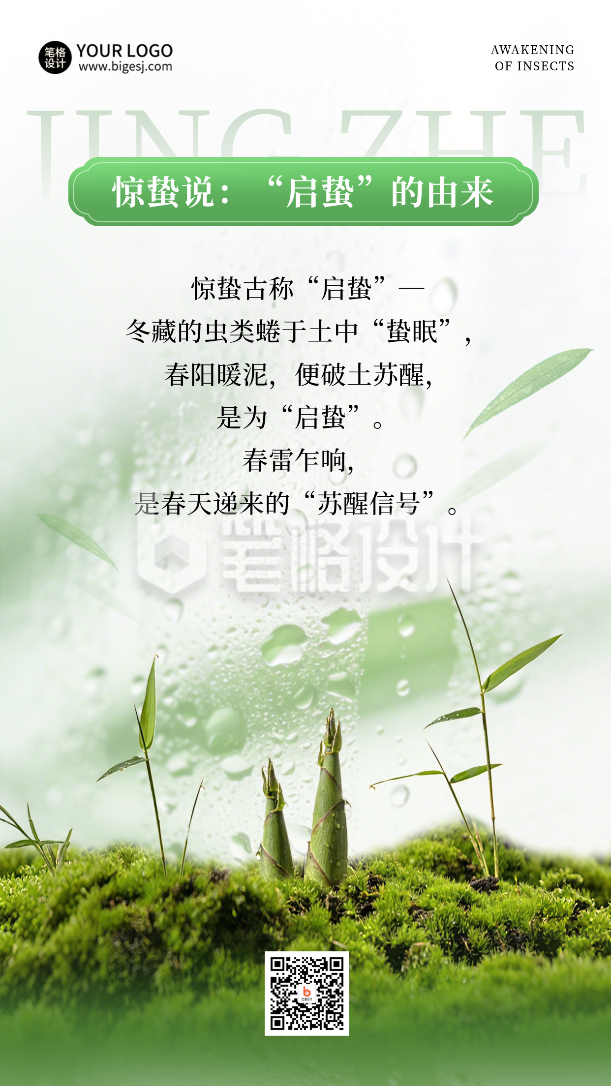 惊蛰节气养生实景宣传竖版配图