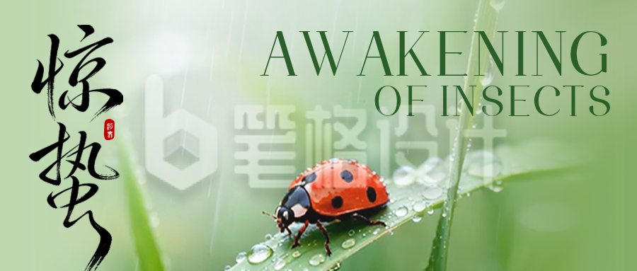 惊蛰实景祝福公众号首图