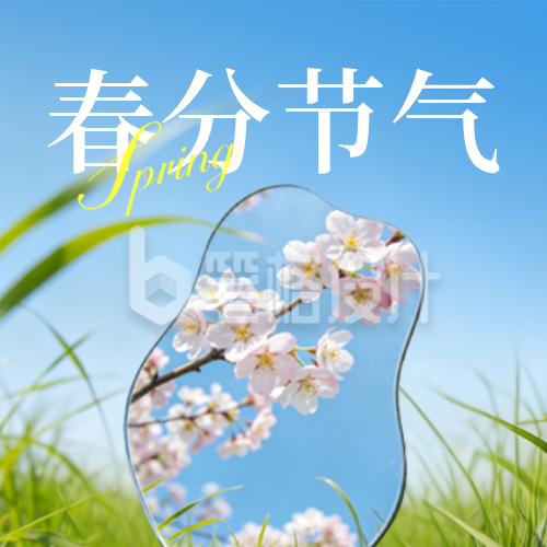 春分节气实景风景日签公众号次图