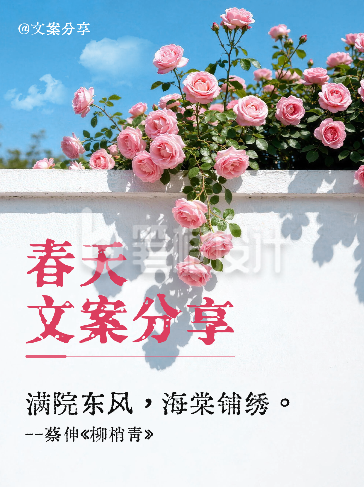 春日文案分享实景小红书封面